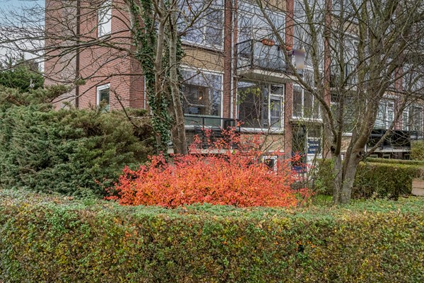 jonkheer de Savornin Lohmanstraat 44_Jonkheer de Savornin Lohmanstraat 44-32.jpg